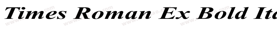 Times Roman Ex Bold Italic字体转换